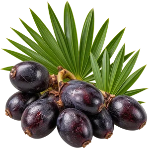 Extracto de fruto de serenoa